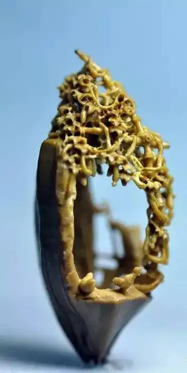 微雕艺术是根植于中国文化艺术中的袖珍艺术品,是雕刻技法的一门分支.