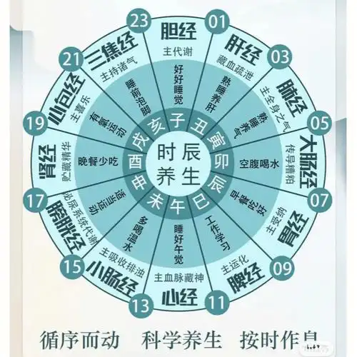十二时辰,对应脏腑,请按时保养