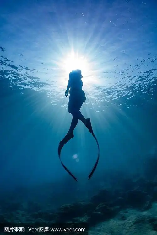 海里的自由潜水女孩.