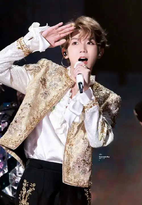 组图:网红陈意礼澄清争议 否认十周年门票由王源工作室赠送_高清图集