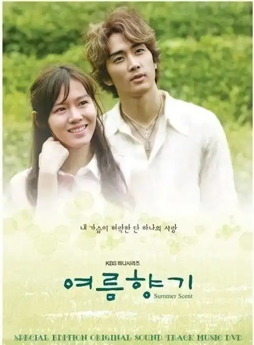 解读(六年拍了四部,培养出国内第一批韩剧迷,棕色发型"毁了"宋承宪)