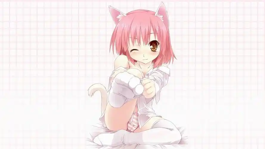 游戏壁纸下载,炎热的夏天 送上一些清凉比基尼妹妹壁纸_叶子猪网游下