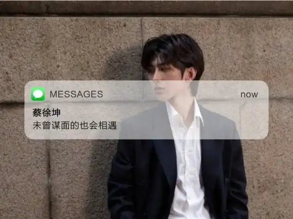 关于蔡徐坤的文案