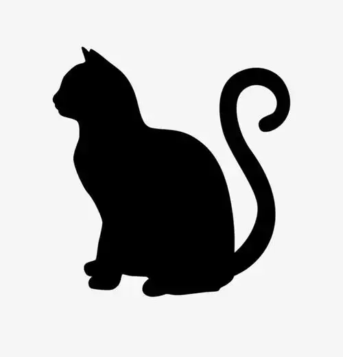 业余摄影家小牛的奇妙经历照片中的奇怪黑影山里湖泊的奇妙倒影