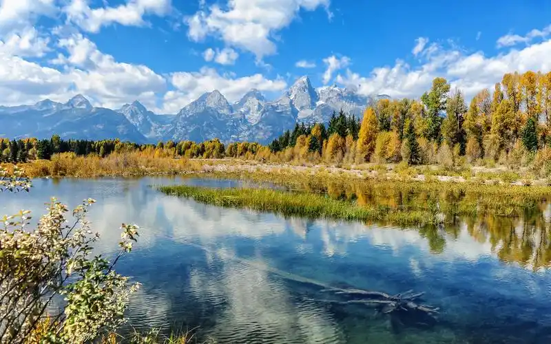 清新绿色护眼自然风光图片桌面壁纸高清大图预览1920x1080_风景壁纸
