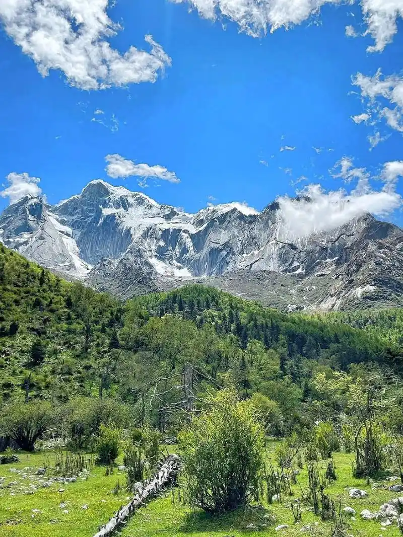 有一种美叫四姑娘山的夏天,太治愈了!#中秋国庆逛吃指南 #趁 - 抖音