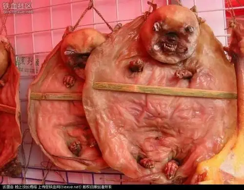 全世界最恶心的食品