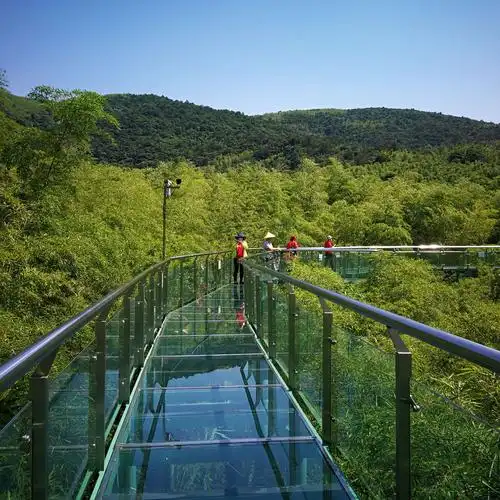 竹尖上的玻璃栈道