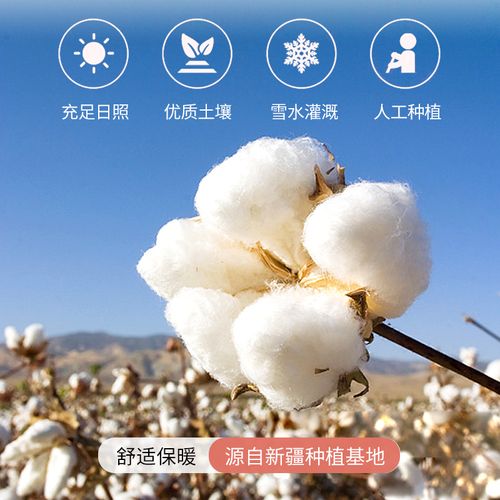 新疆棉花一级优质长绒棉棉棉絮5斤爆款春秋棉花被