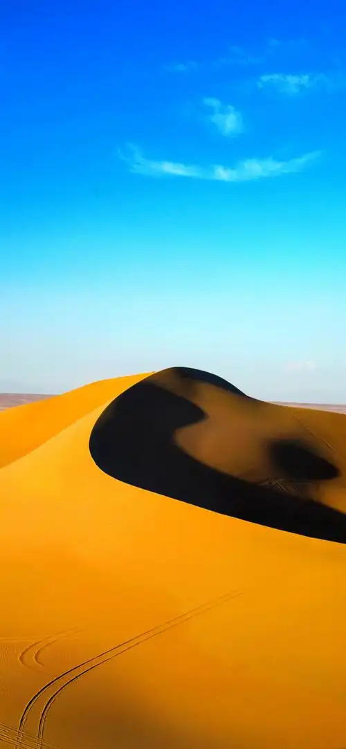 求个老爷黄色logo的手机壁纸 - 华为mate30系列分享交流 花粉俱乐部