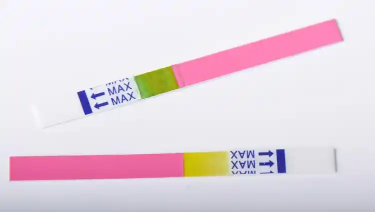 2,本产品为一次性使用产品. 3,本产品只适用于检测羊水.