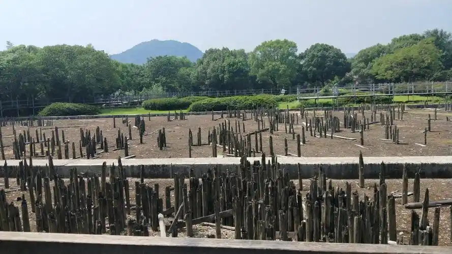 河姆渡文化遗址