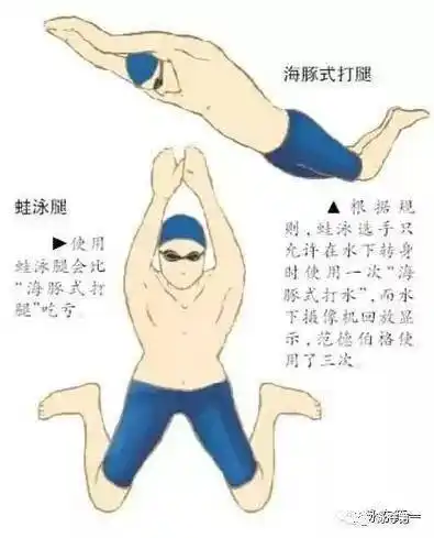 自由泳之海豚腿练习(建议wifi环境下观看)泳夺第一主菜单栏(如下图)发