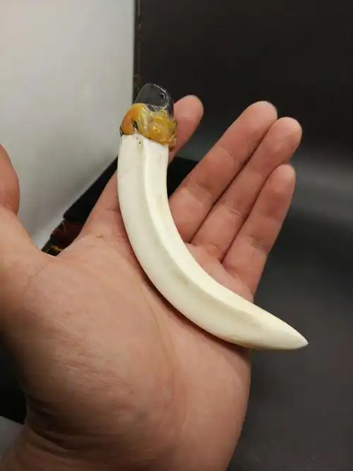 写美篇盘客天下出品      【拍品名称】野猪牙    【拍品规格】如图