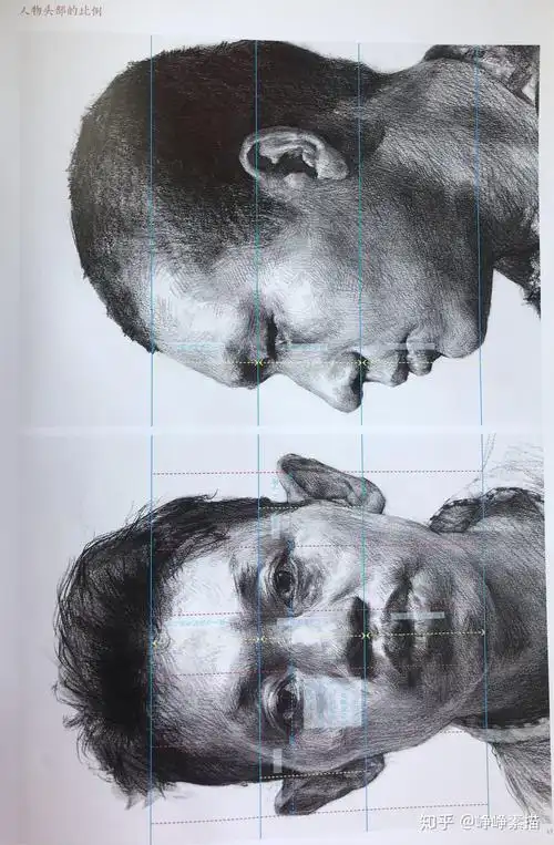 一,素描头像基础知识(2.透视与比例)