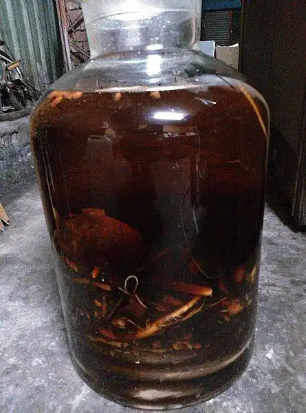 泡了22年,男子喝一杯就中毒,为何还有人喝?|泡酒|风湿|毒蛇_网易订阅