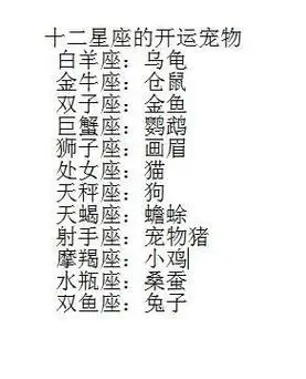 测测星座更新后小宠物测测这个名字多少分