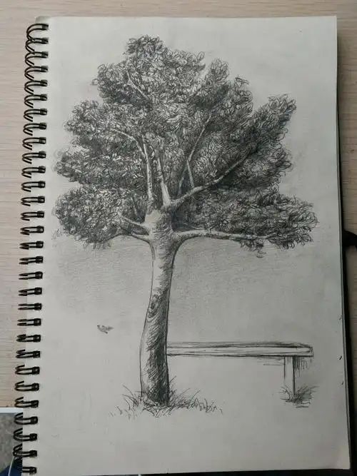 树- 原创作品 - 站酷(zcool)