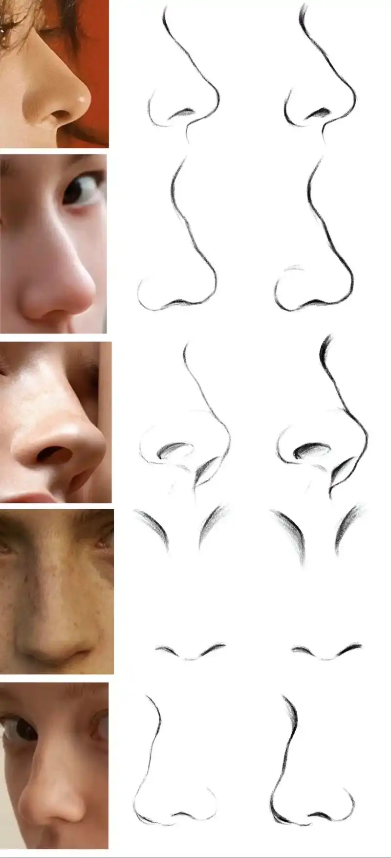 先找出图片上鼻子的大致结构,根据结构画草稿