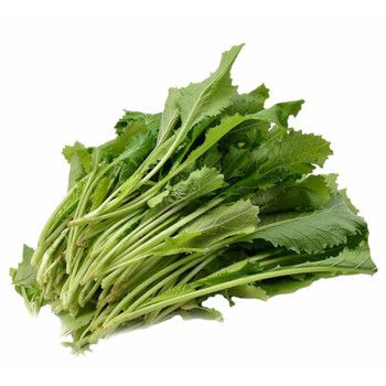 雪里红雪菜雪里蕻菜小青菜叶菜蔬菜新鲜腌制咸菜酸菜真空净重团建送礼