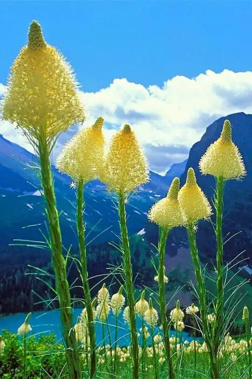 网上最火的说说,让心情充满阳光的句子,句句温暖人心