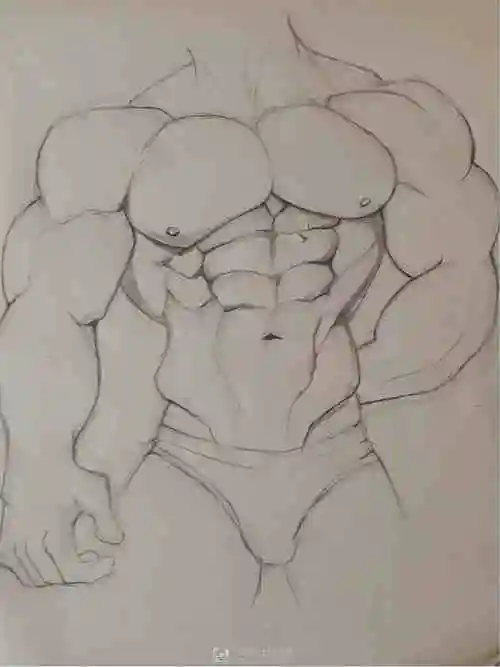 作业:如何学画手绘动漫人物之男性肌肉画法与训练技巧 - 六花