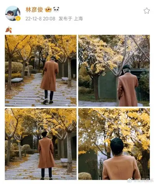 林彦俊晒背影随拍