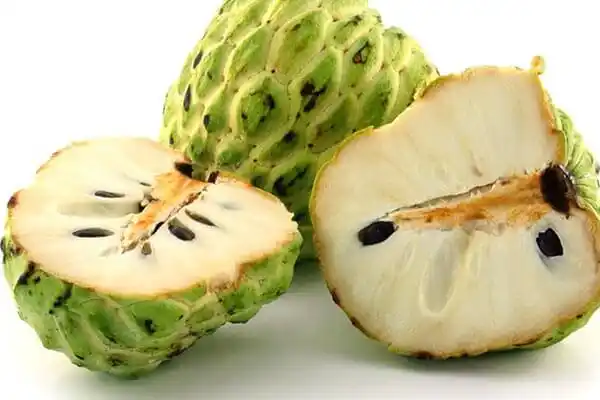 国内稀有的菲律宾水果,北方朋友能认出几种?南方朋友都认识吗?