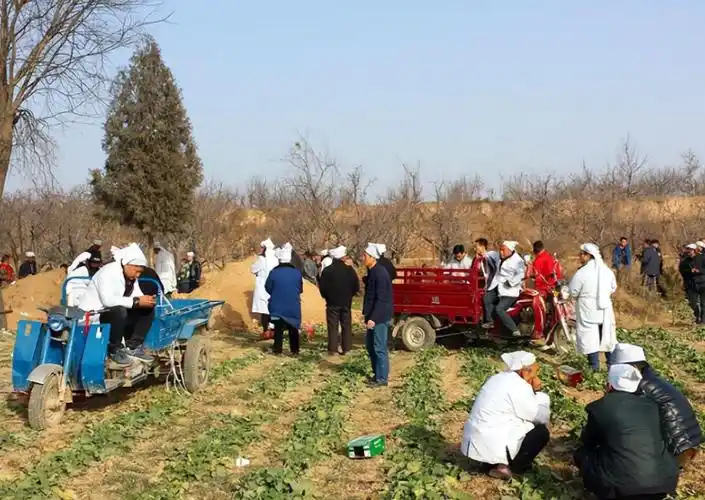 回顾七旬老汉无人养老自制棺材穿寿衣喝农药死去离世前留10个字