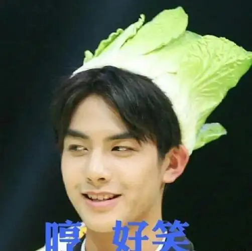 宋威龙哼好笑卖萌gif动图_动态图_表情包下载_soogif