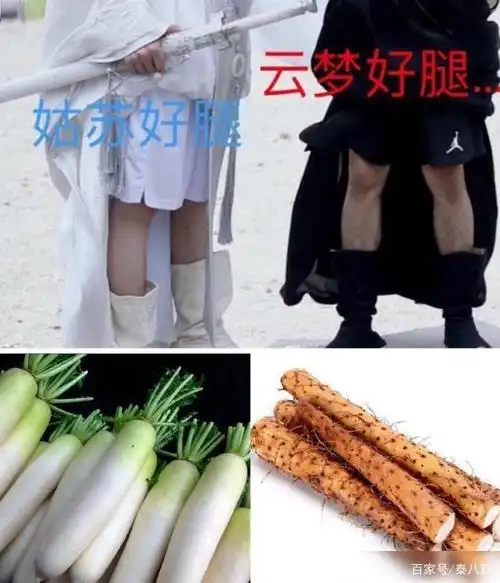 肖战的"山药腿"vs王一博的"白萝卜腿"