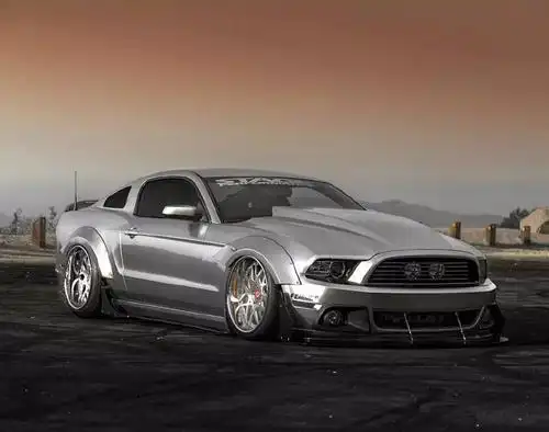 一匹宽体贴地飞银色野马mustang