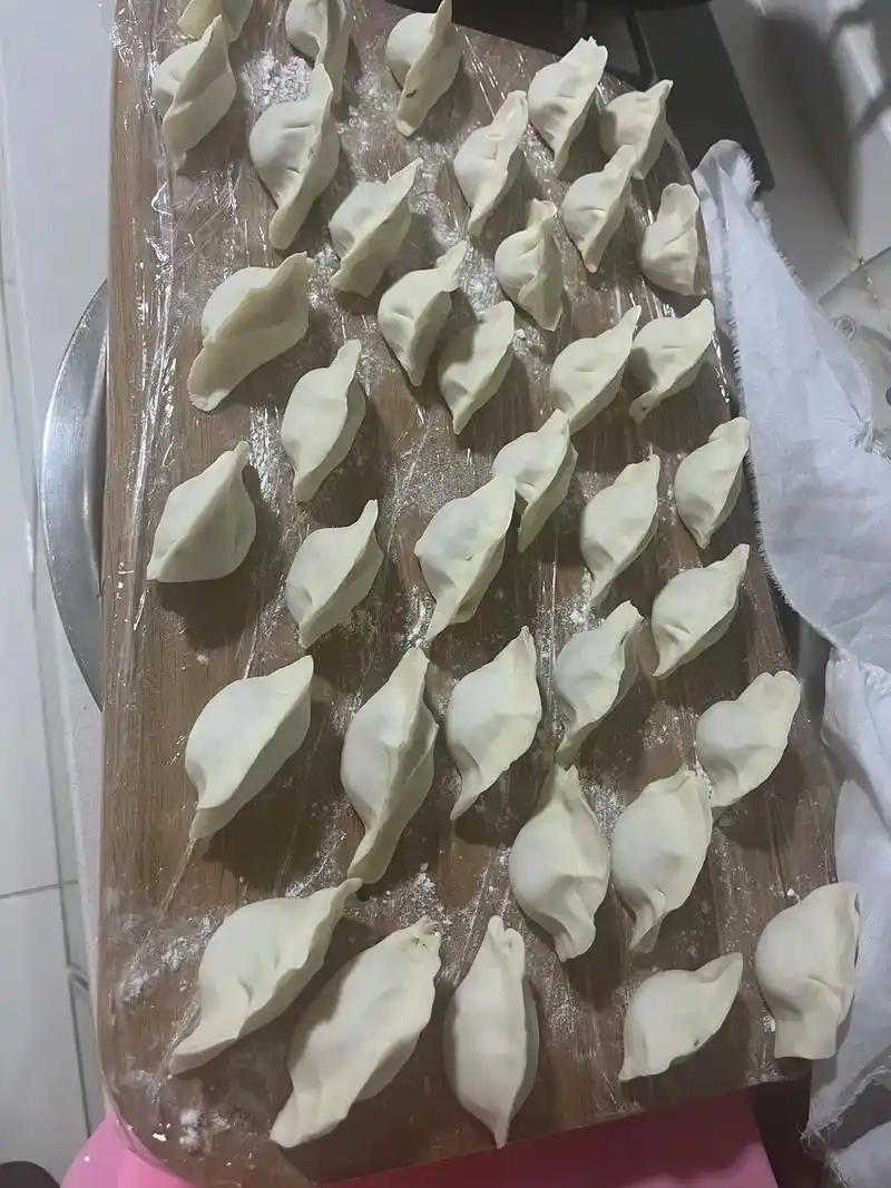 吉祥饺子如意的馅 #纯手工水饺 #包饺子是一种乐趣 #自己 - 抖音