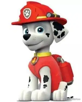 汪汪队所有狗狗的名字,你知道吗