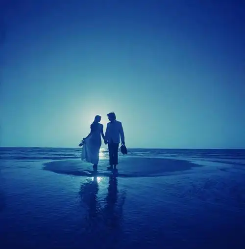 成年人,两个人,竖图,室外,留白,晚礼服,度假,日落,服装,正装,档案,地