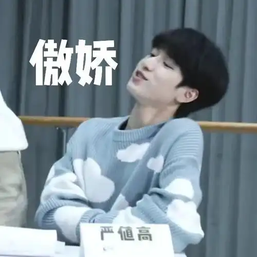 表情包 | 严浩翔沙雕系列 - 知乎