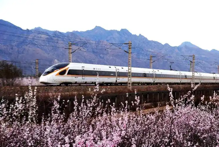 京呼高铁复兴号飞越花海