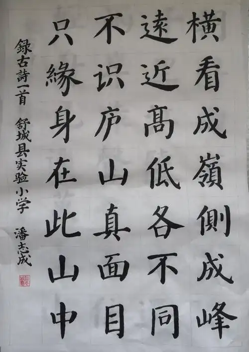 2020年度中小学生书法(写字)比赛成功举行(含小学组部分获奖优秀作品