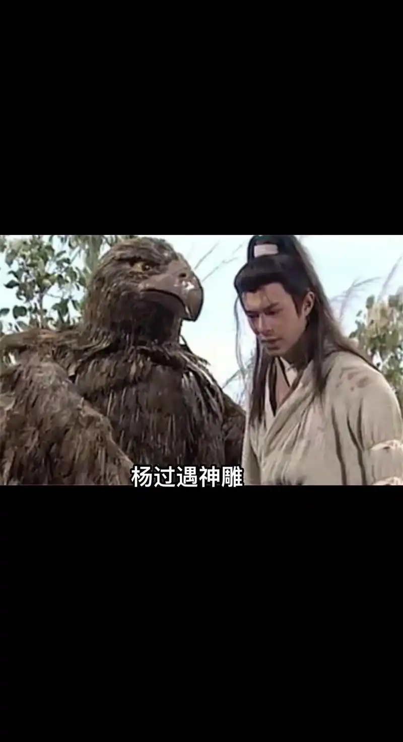 杨过和神雕.#怪不得 #杨过 #神雕侠侣 #神雕 #修练 - 抖音