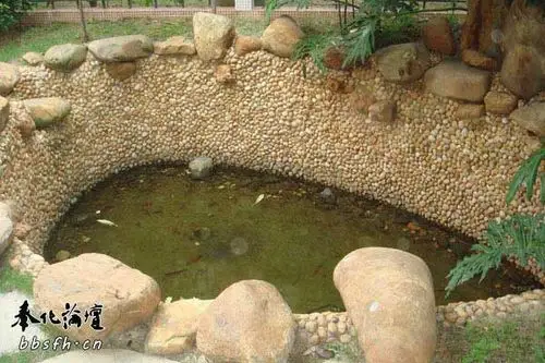 交易广告区专业铺装鹅卵石,雨花石,假山制作设计 - powered by discuz