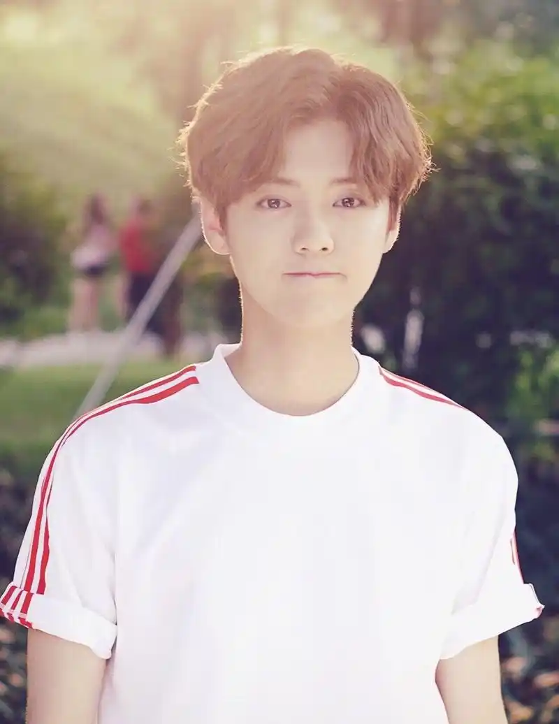 盘点那些年鹿晗的中分时期 不是开玩笑的完美中分小王子