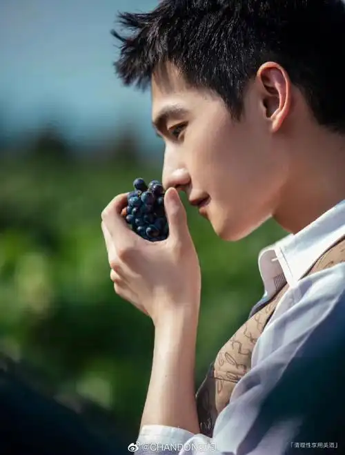 杨洋太适合在大自然的风光大片了