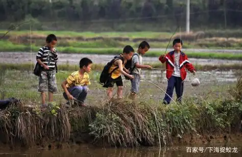 70后农村女性,追忆那些回不去的童年时光,细数珍贵简单的快乐