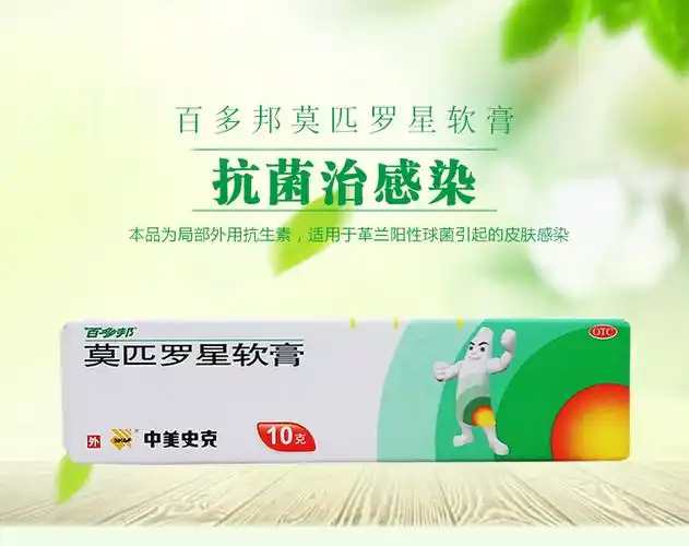 百多邦莫匹罗星软膏10g 【标准装:1盒10g】
