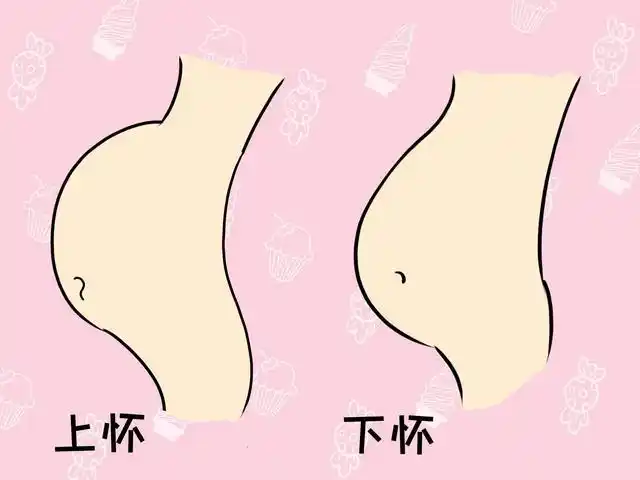 刚怀孕的时候,大家肚子都还很平看不错什么差别,但是