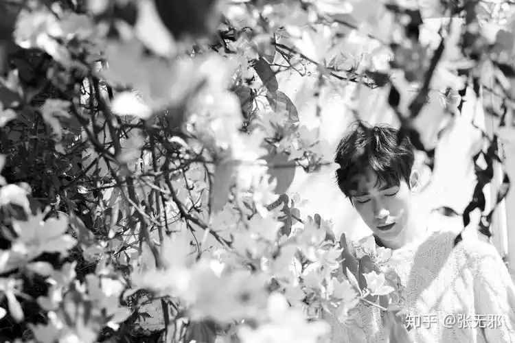 有什么朱一龙不错的手机壁纸和锁屏吗