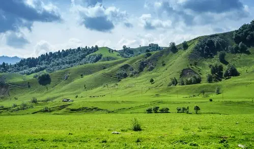那拉提高山草甸牧场