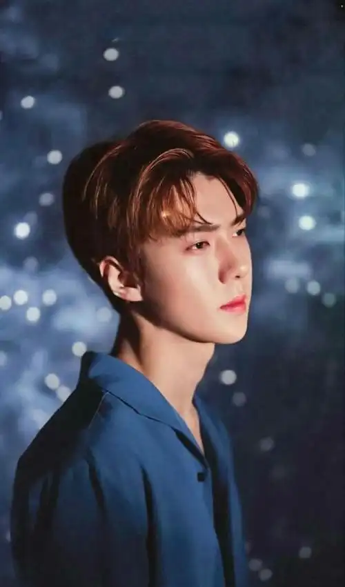 exo成员人气排名(exo成员人气排名数据2021) - 龙腾网