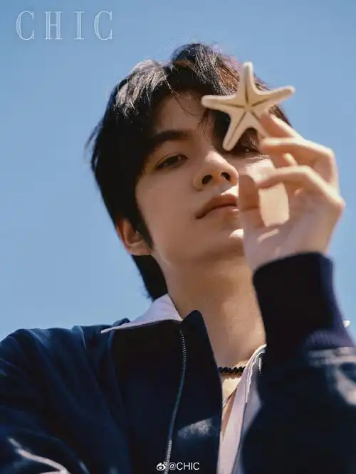 张颜齐海岸大片