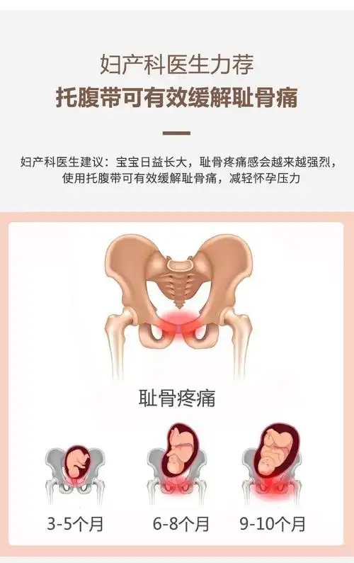 惬意!为什么孕妇耻骨会痛?耻骨位置图"忠贞不渝"-第2张图片-康峰博客